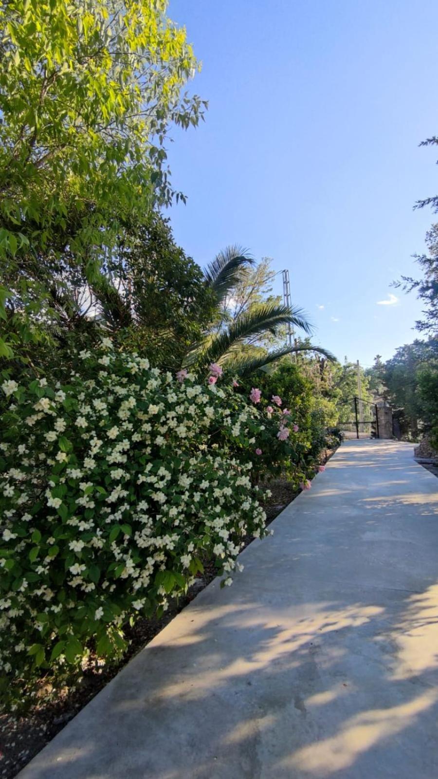 Villa Rosario La Iruela Eksteriør billede